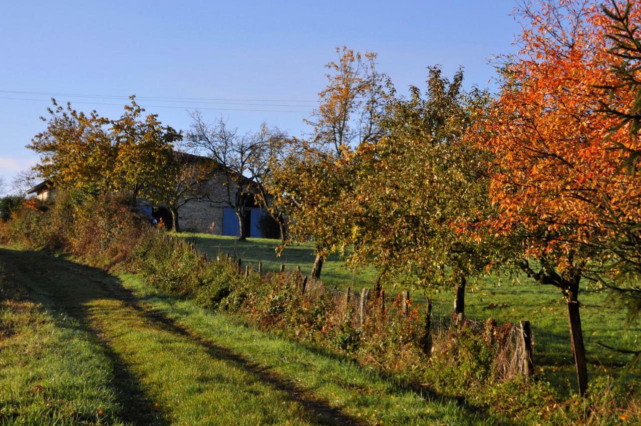Terres De La Grange Bed & Breakfast Cuisiat Exterior foto